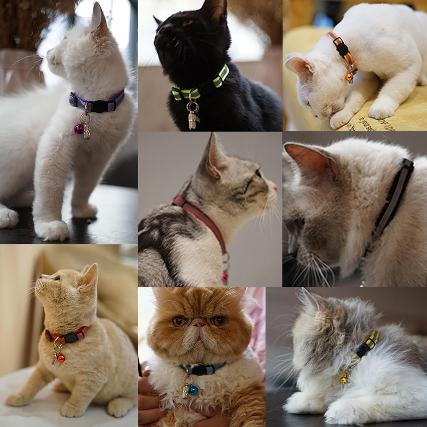 Petopia Reflective Cat Collars - Hình 7
